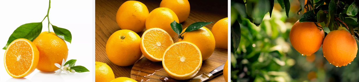 Best Orange Juice Powder